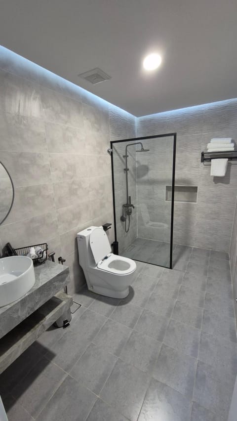 Shower, Toilet, Property building, Bathroom, bidet