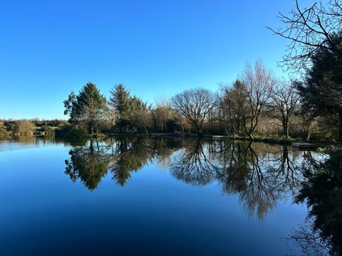 Basic Lakeside Glamping Greenfinch Luxury tent in Saint Columb Major