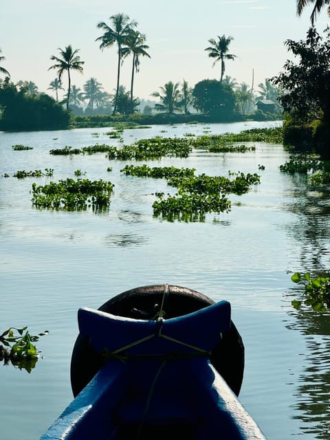 Punarjani Luxury tent in Kochi