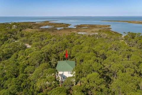 Silver Lining House in Saint George Island