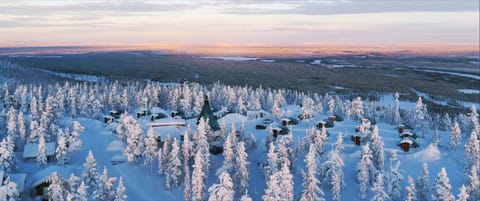 Golden Crown - Levin Iglut House in Lapland