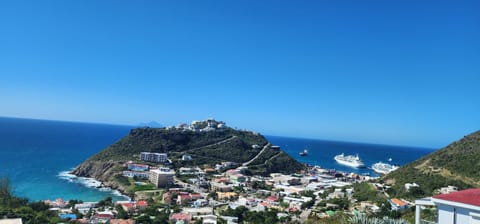 Gorgeous Oceanview Peaceful Villa House in Sint Maarten