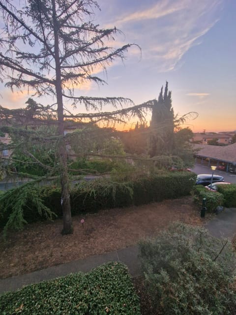 Garden view, Sunrise