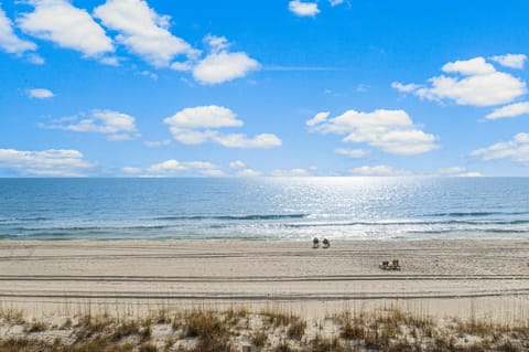 Natural landscape, Beach, Sea view