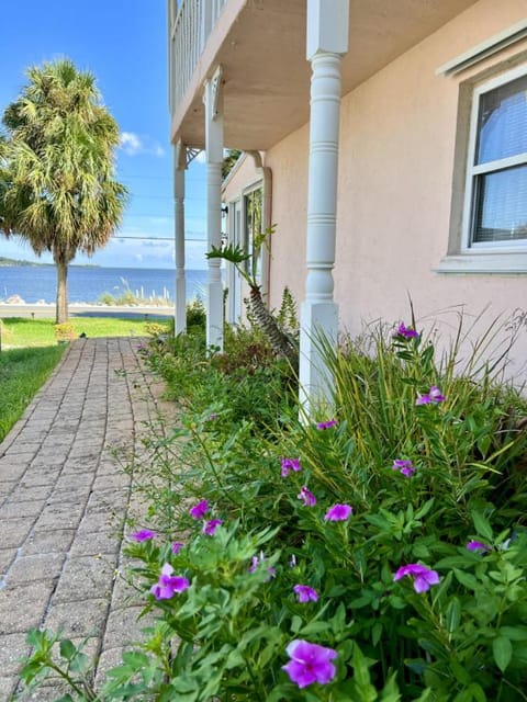 Gulf front with sand and water access House in Cedar Key