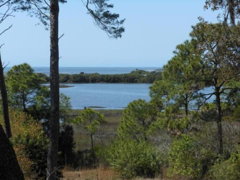 Private dock and sunsets House in Cedar Key