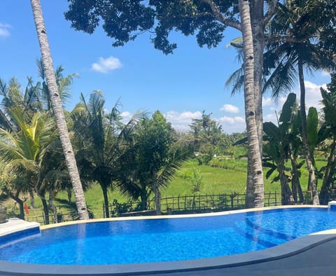 Natural landscape, Swimming pool