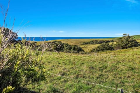 Kiama Ocean View Cottage lifestyle Apartment in Kiama