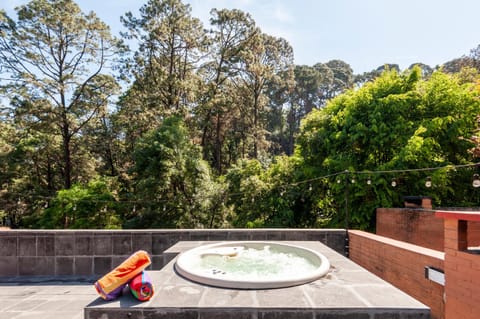 Garden, Hot Tub, Hot Tub, Garden view