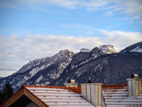 Natural landscape, Winter