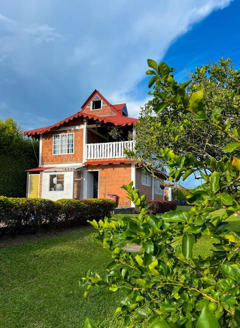 Property building, Garden, Garden