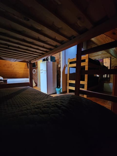 Bed, Photo of the whole room, Bedroom, bunk bed