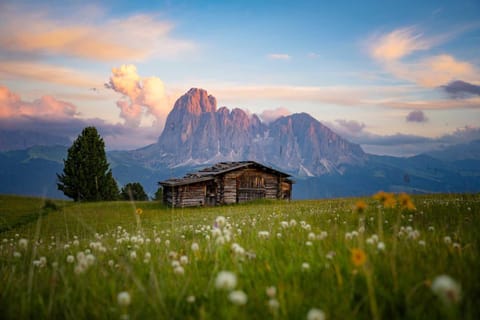 Natural landscape, Mountain view