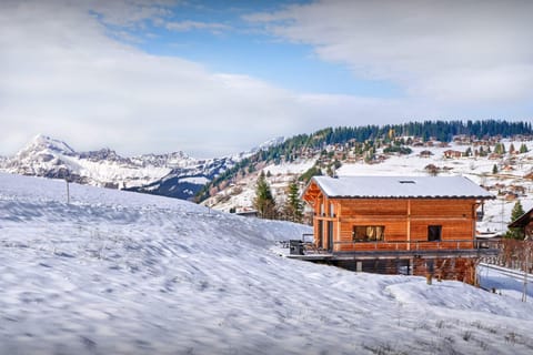 Property building, Off site, Day, Natural landscape, Winter, Mountain view