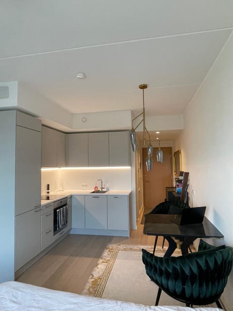 Luxury And Comfortable Studio Apartment in Tallinn