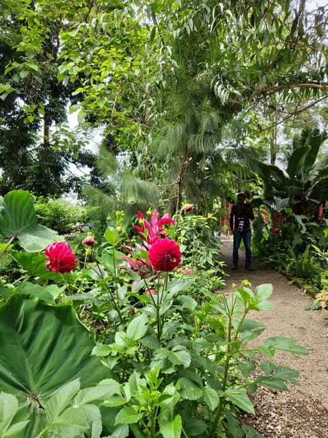 Maksooru spring Lodge Nature lodge in Kenya