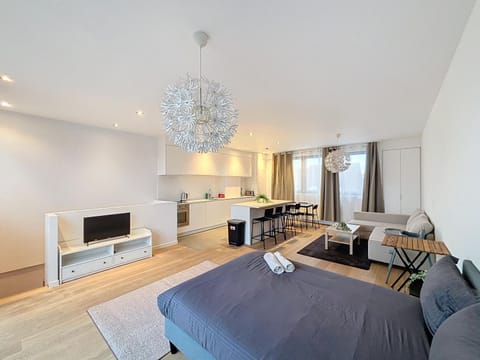 Penthouse Cinquantenaire Apartment in Ixelles