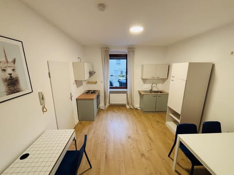 Kitchen or kitchenette, Dining area, oven, stove