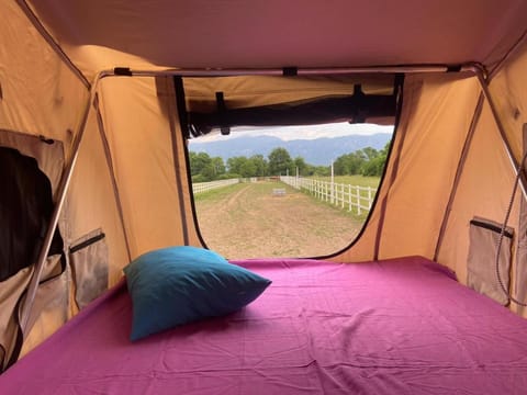 Escape Montenegro Campervan Tranzit Campground/ 
RV Resort in Podgorica