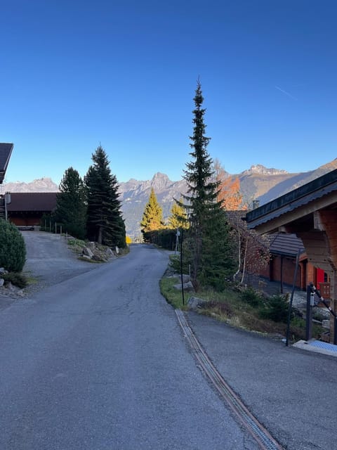 Champoussin A'part Apartment in Châtel