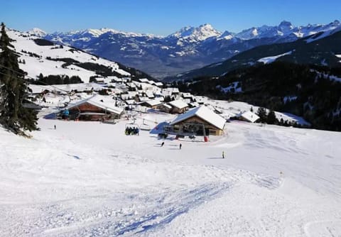 Champoussin A'part Apartment in Châtel