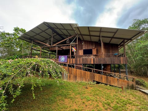 Property building, Garden, Garden view