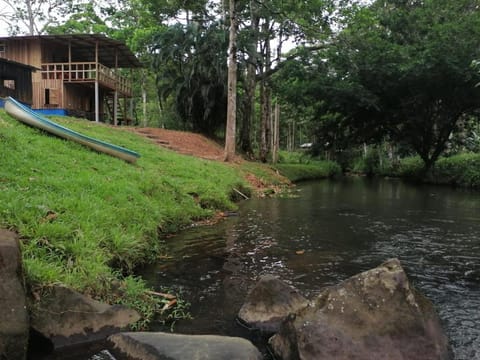 Natural landscape, River view