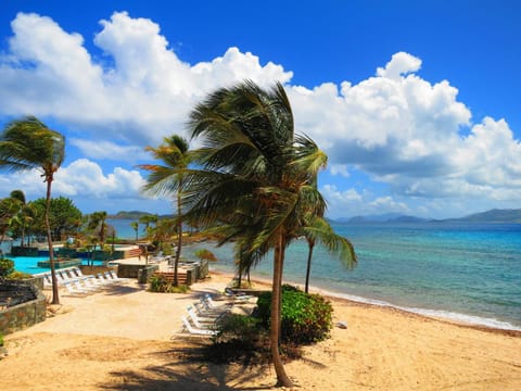 Luxury Beachfront King Suite on Sapphire Beach II Condo in Virgin Islands (U.S.)