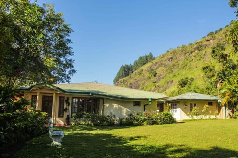 Facade/entrance, Mountain view