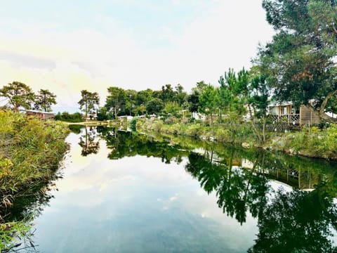 Le Nid des Viviers - Bungalow au bord de l'eau Campground/ 
RV Resort in Lege-Cap-Ferret