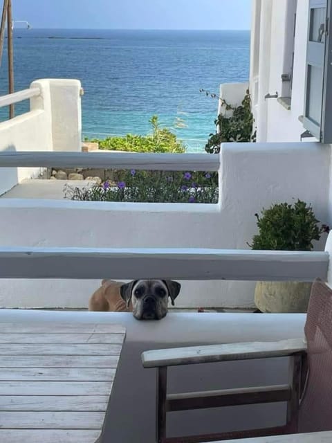 Ianthi Boutique Guesthouses Skyros House in Euboea