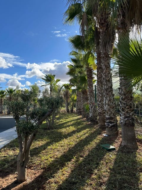 Natural landscape, Garden, Garden view