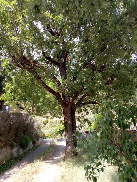 Chambre proche du chemin de St-Jacques Bed and Breakfast in Cahors