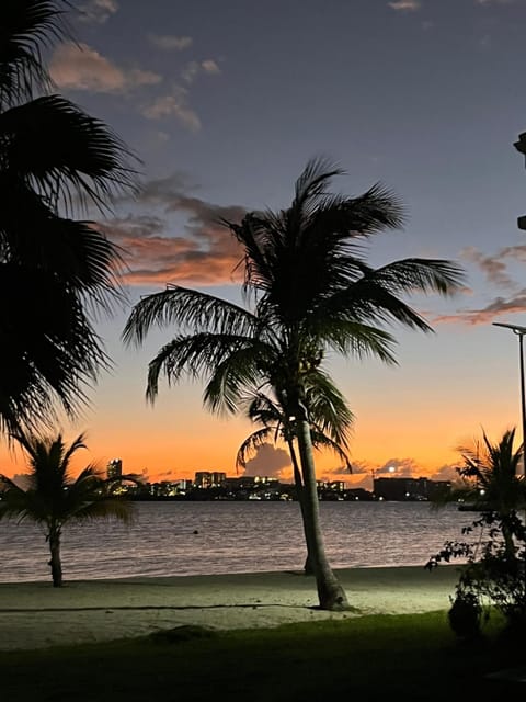 Natural landscape, Beach, Sunset