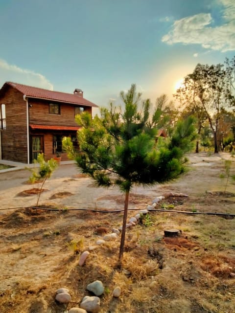 Property building, Day, Natural landscape, Garden, Garden view