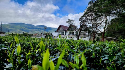 Cottage Mountain Misty-Nuwaraeliya Hotel in Nuwara Eliya