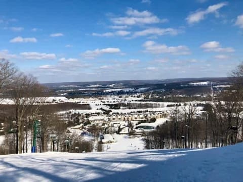 1 Mile From Boyne Mt- Chateau Patak Maison in Boyne Falls