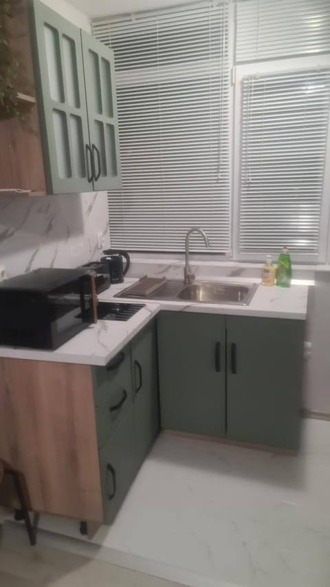 Kitchen or kitchenette, minibar, stove