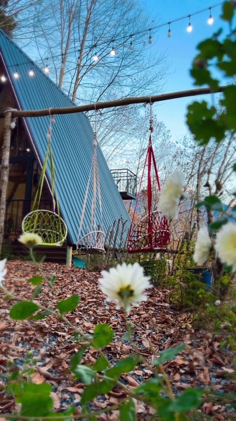 Garden, Garden view, Seasons