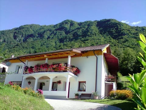 Property building, Natural landscape