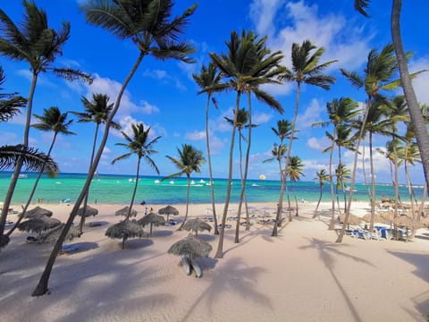 Day, Natural landscape, Beach, Sea view