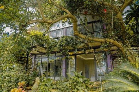 Garden, Balcony/Terrace