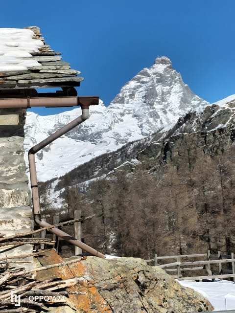 Maison Olga Apartment in Valtournenche