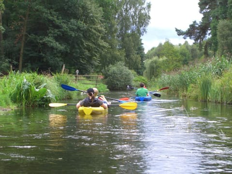 Canoeing, River view, group of guests