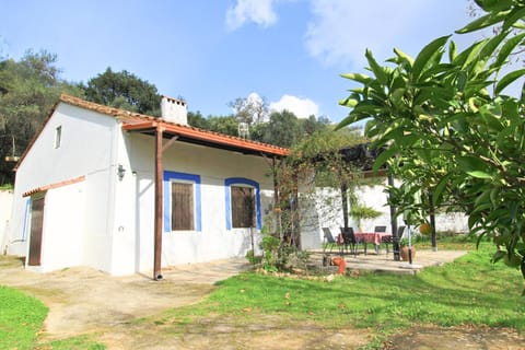 Property building, Garden, Garden view