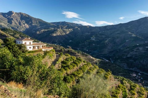 Property building, Natural landscape, Garden, Mountain view