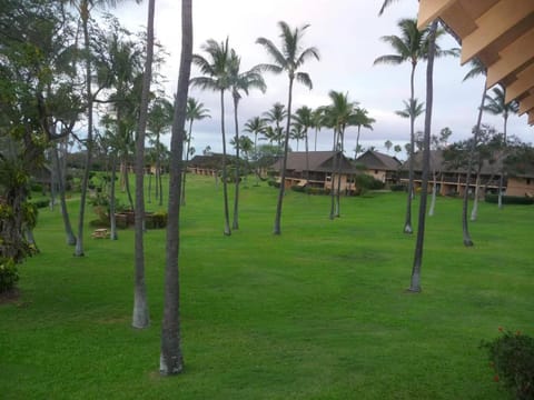 Molokai Kepuhi Beach Gem Apartment in Molokai