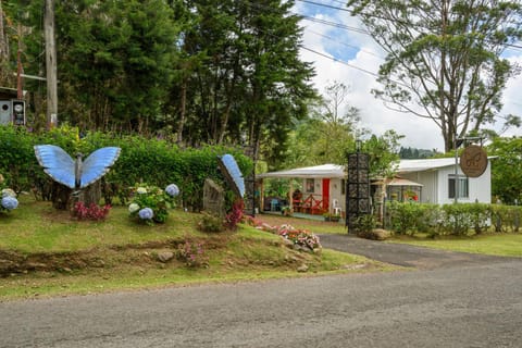 Property building, Natural landscape, Garden, Street view