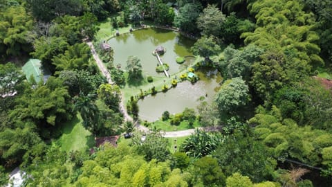 Nearby landmark, Natural landscape, Bird's eye view, River view