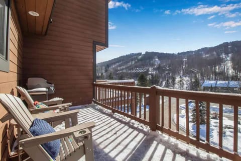 Modern Townhome with Decks Fireplace & Mountain Views House in Ellicottville